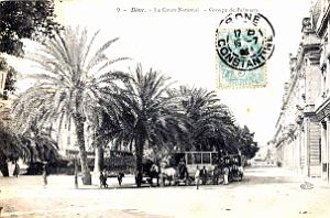 Bone - Le Cours National futur Bertagna - Les Palmiers